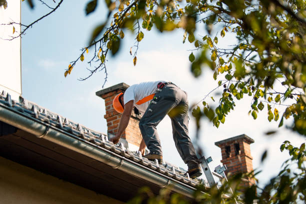 Best Roof Leak Repair  in North Crossett, AR